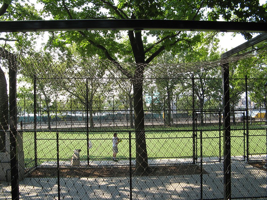 Animal Enclosures:  Comfortable Environment for Animals