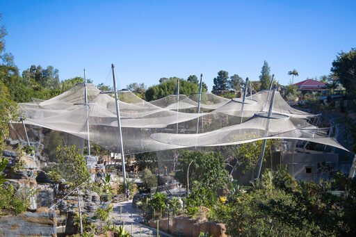 SanDiego-Zoo-Africa-Rocks4-512x341-1