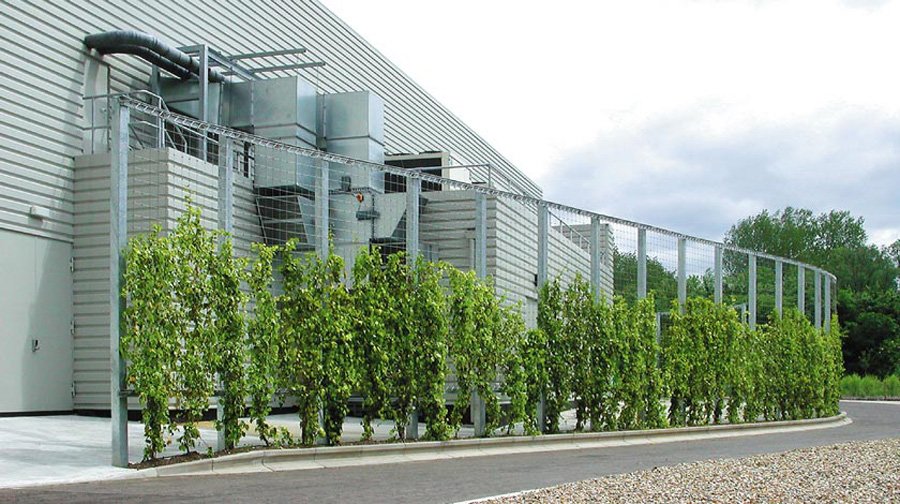 Large-scale-Greenwall-Systems-36